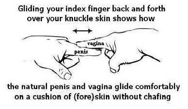 Penis S Vagina